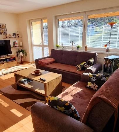 Mountain Village Apartment Pinewood *** Vyšné Ružbachy エクステリア 写真
