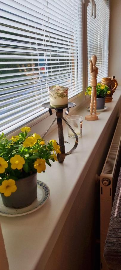 Mountain Village Apartment Pinewood *** Vyšné Ružbachy エクステリア 写真